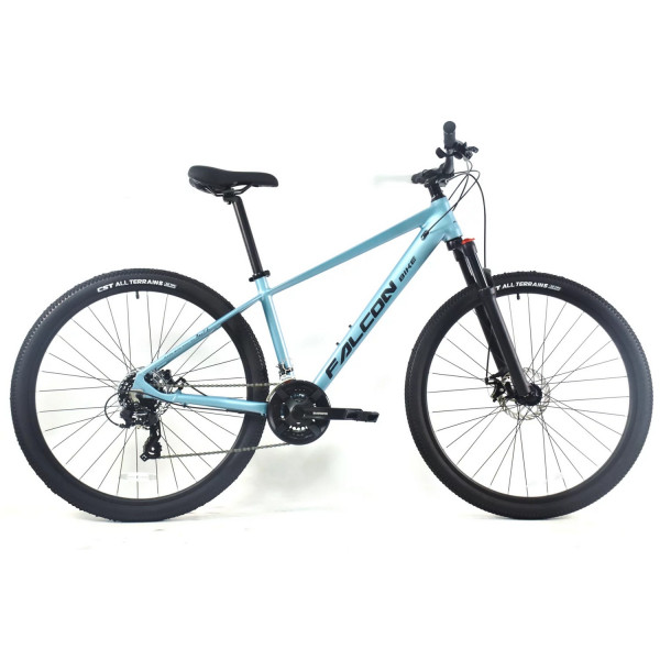 Горный велосипед Falcon Bike 29 Resolute 1.0 (2024)
