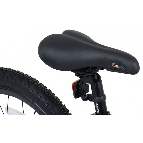 Детские велосипед Maxiscoo 5 BIKE 20'' Girl (2026)