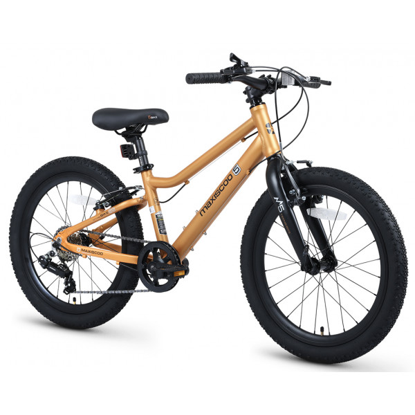 Детские велосипед Maxiscoo 5 BIKE 20'' Girl (2026)