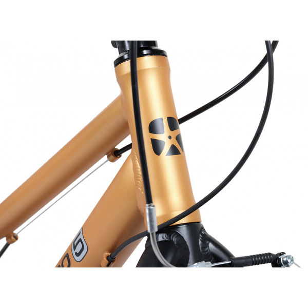 Детские велосипед Maxiscoo 5 BIKE 20'' Girl (2026)