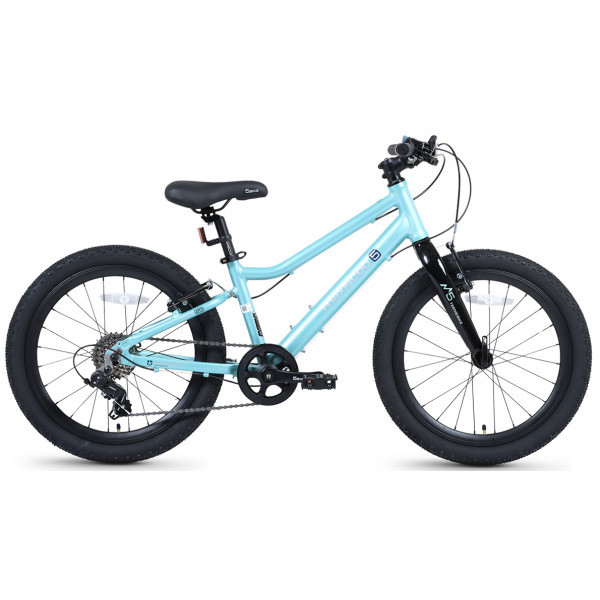 Детские велосипед Maxiscoo 5 BIKE 20'' Girl (2026)