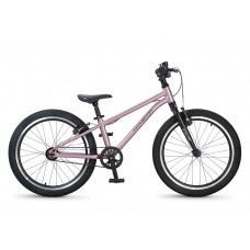 Детский велосипед Maxiscoo Stellar 20'' (2026)