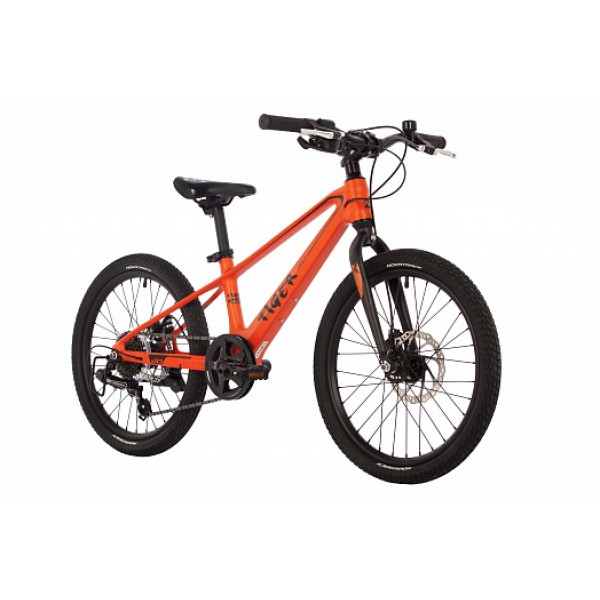 Детский велосипед Novatrack Tiger 20" (2024) Детский велосипед Novatrack Tiger 20" (2024)